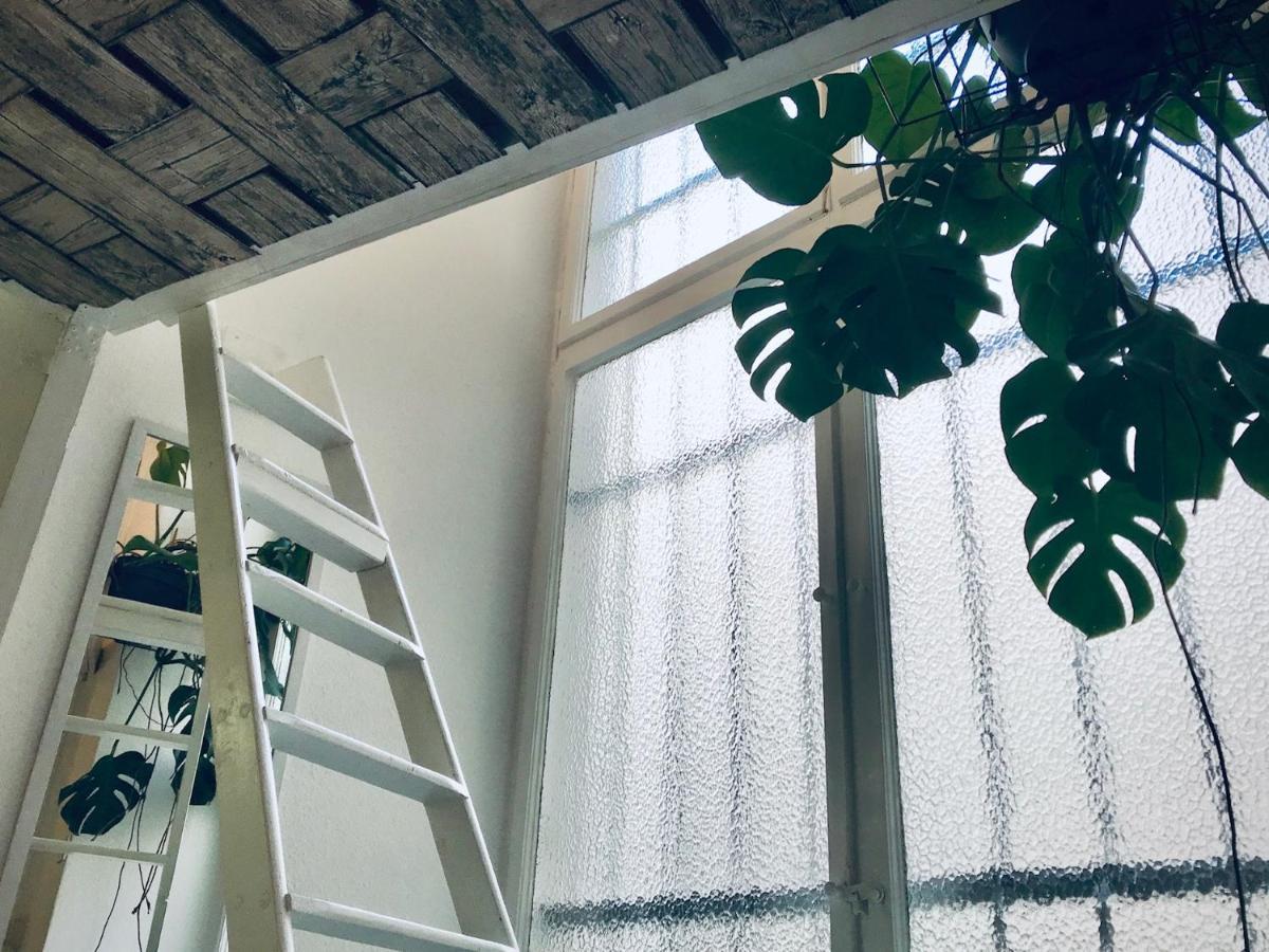 Boutique Hostel Lekkerurlaub Berlín Exteriér fotografie